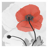 Poppy Princess