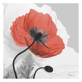 Poppy Prince