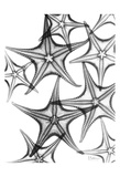 Star Fish A Plenty in Black and White