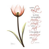 Swaying Tulip Pink  Life