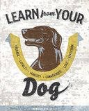 Learn From Your Dog