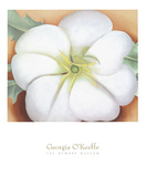 White Flower on Red Earth  No 1  c1946