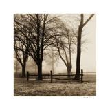 Woods with Fence