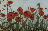Poppyfield I