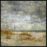Masonboro Island No 4