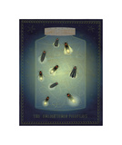 The Enlightened Fireflies