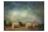 Hay Rolls