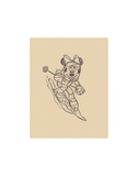 Downhill Minnie
