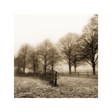 Fence Row and Trees