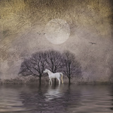 White Horse in Pond