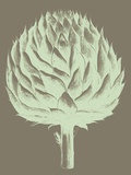 Artichoke  no 12