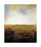 Prairie I