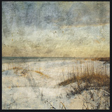 Masonboro Island No 15