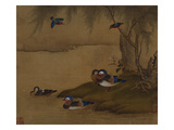 A Pair of Falcons from an Album of Bird Paintings