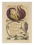 Infant Joy from 'songs of Innocence'
