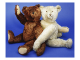 A Fine Steiff White Plush Covered Teddy Bear and a Fine Steiff Rich Cinnamon Plush Covered Teddy…