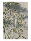 A Fairy Standing Among Grass