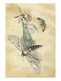 A Fairy Standing on a Moth While Being Chased by a Butterfly