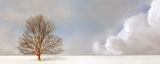 Alone in the Whiteness