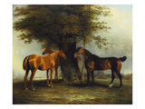 Hunters at Grass