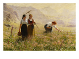 Summer's Day in Norway; Ein Sommertag in Norwegen