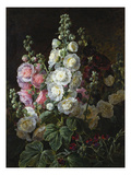Delphinium and Other Flowers