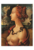 Portrait of Simonetta Vespucci  c 1480