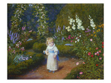 Wonderland