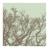 Winter Tree II