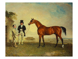 Skiff'  a Bay Racehorse  Held by a Groom on Newmarket Heath  with John Howe  the Owner of the…
