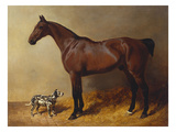 A Bay Hunter and a Spotted Dog in a Stable Interior