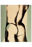 Torso from Behind  c1977