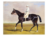 Sir Mark Wood's Racehorse 'Lucetta' with J Robinson Up