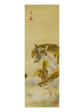 Roaring Tiger