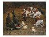 Barnyard Friends