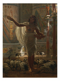 Feeding the Sacred Ibis in the Halls of Karnac