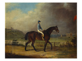 Mr Hindley's Brown Filly 'Rosina' by 'Romulus' Ridden by the Owner on Lincoln Race Course