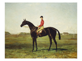 A Racehorse with Jockey Up on the Racetrack at Newmarket