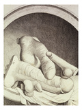 An Account of the Remains of the Worship of Priapus  Lately Existing at Ise