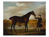 The Duke of Marlborough's () Bay Hunter  with a Groom in Livery in a Lake Landscape