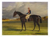 The Earl of Chesterfield's Filly 'Industry'  with W Scott Up  in a Landscape