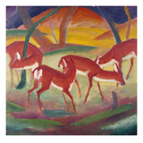 Red Deer; Rote Rehe 1