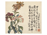 A Page (Flowers) from Flowers and Bird  Vegetables and Fruits
