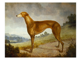 A Tan Greyhound Bitch in an Extensive River Landscape