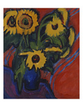Sunflowers; Sonnenblumen