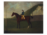 Creeper' a Bay Colt with Jockey Up at the Starting Post at the Running Gap in the Devils Ditch …