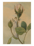 A Fairy Poised Between Pink Rosebuds