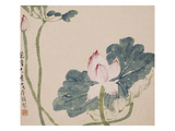 A Page (Flowers) from Flowers and Bird  Vegetables and Fruits