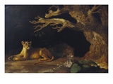 Lioness and Lion in a Cave