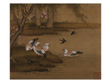 Ducks and Swallows from an Album of Bird Paintings